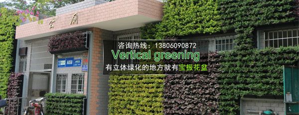 廈門大學(xué)旁沙坡尾公廁墻面垂直立體綠化
