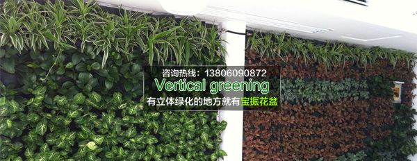 南平室內(nèi)墻面垂直立體綠化