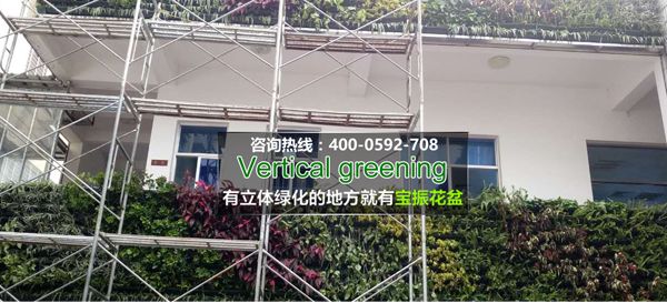 永春項(xiàng)室外墻立體綠化