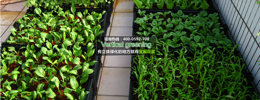 陽臺(tái)綠化的特點(diǎn)