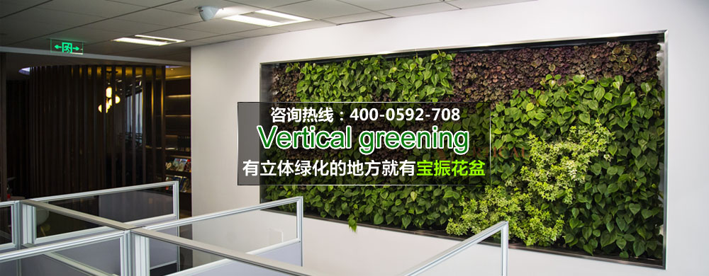 天青色等綠墻，而綠墻在等你