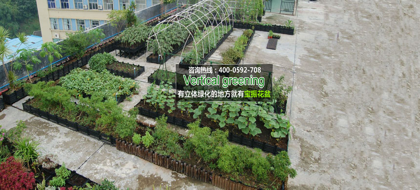 陽(yáng)臺(tái)綠化