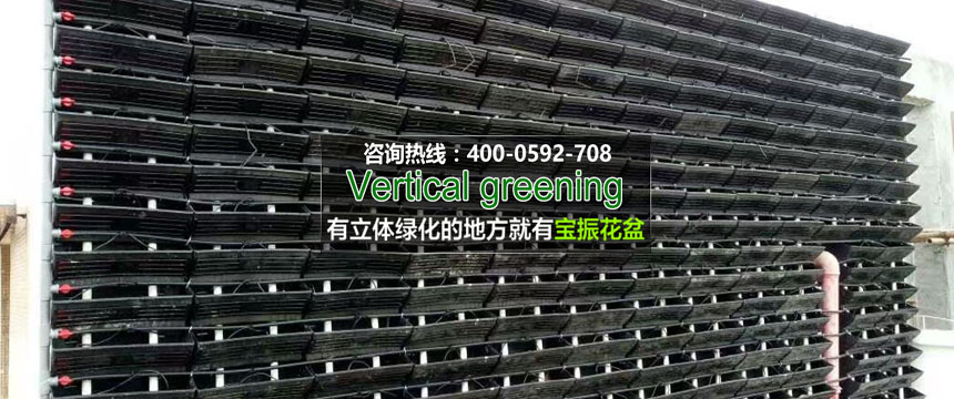 廈門(mén)市第一中學(xué)室內(nèi)垂直墻立體綠化