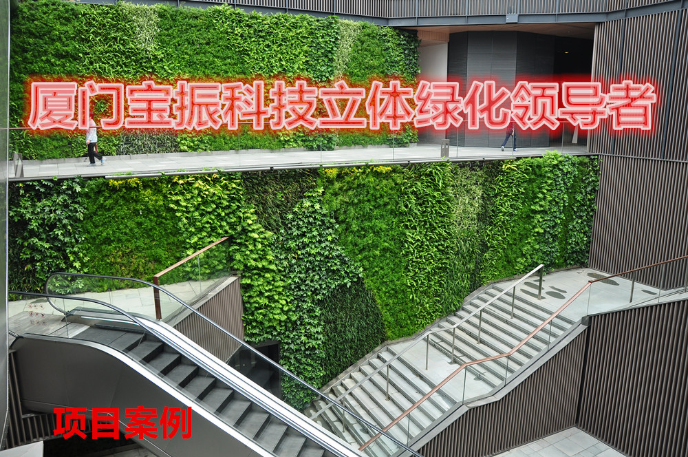 屋頂綠化的技術(shù)及實施-廈門寶振科技