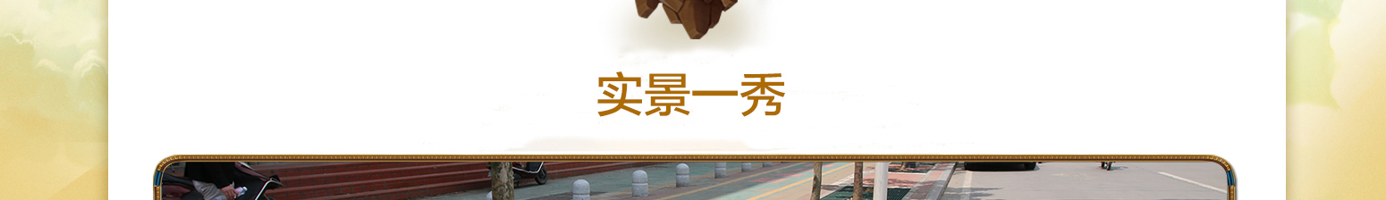 樹(shù)池蓋板_12.jpg